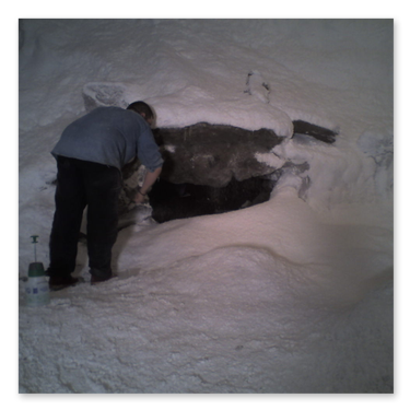Caveboy - Cave