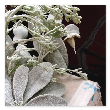 Frost Leaves