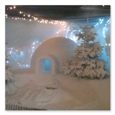 Ground Snow - Garden Centre 1