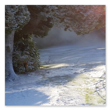 Snow PayPal Commercial 2
